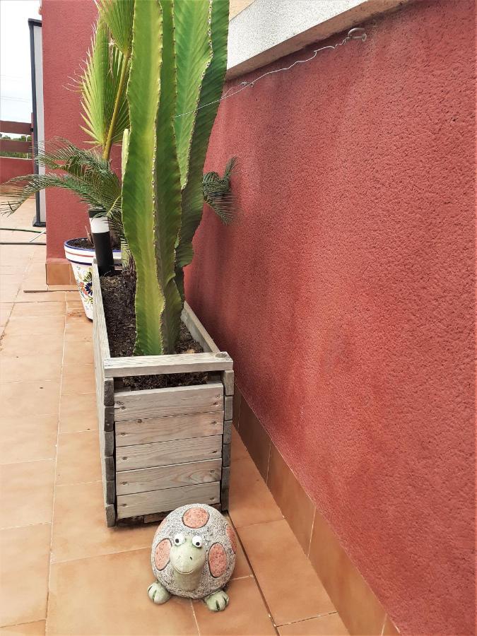 Casa Ohana Solarium, Jacuzzi,Piscine,Tout Confort Оріуела Екстер'єр фото